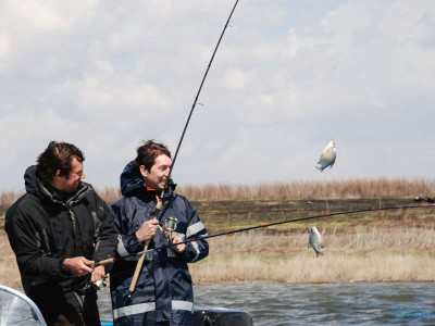 Особенности апрельской рыбалки: активность рыбы, ограничения, календарь рыболова.