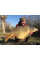 Тепла шапка-біні Dynamite Baits - ZC1157