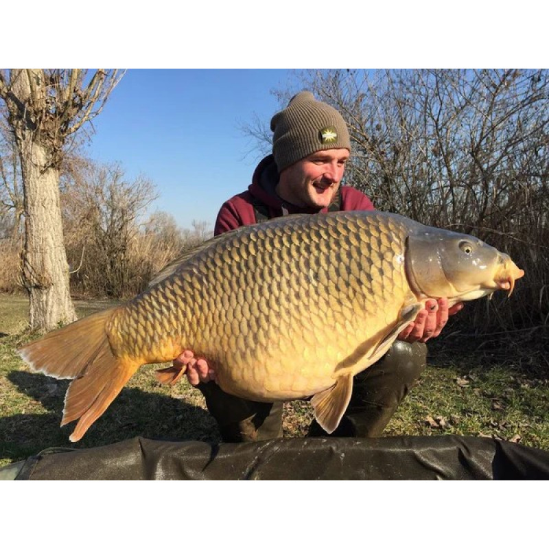 Тепла шапка-біні Dynamite Baits - ZC1157